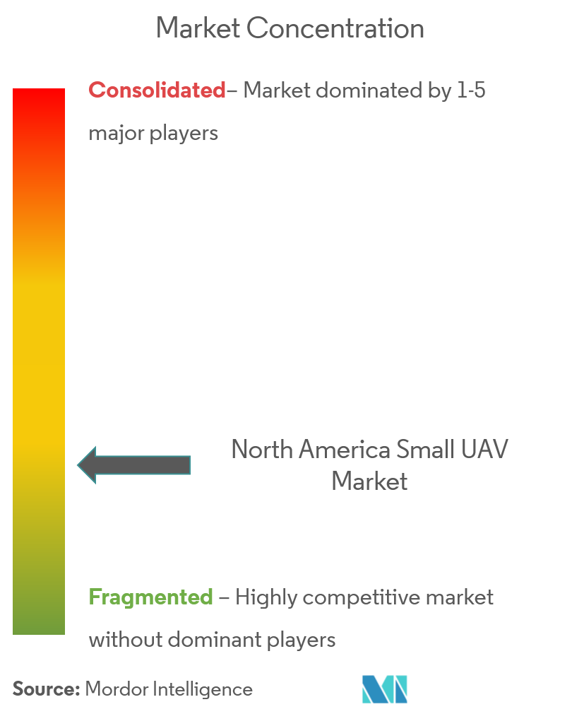 North America Small UAV Market Concentration